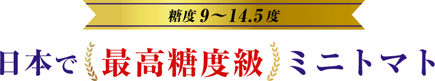 たむらさくま農園