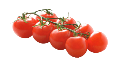 tomato